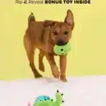 Consuela the Cactus Green Plush Dog Toy - Image 5