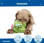 Consuela the Cactus Green Plush Dog Toy - Image 9