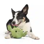 Consuela the Cactus Green Plush Dog Toy - Image 10