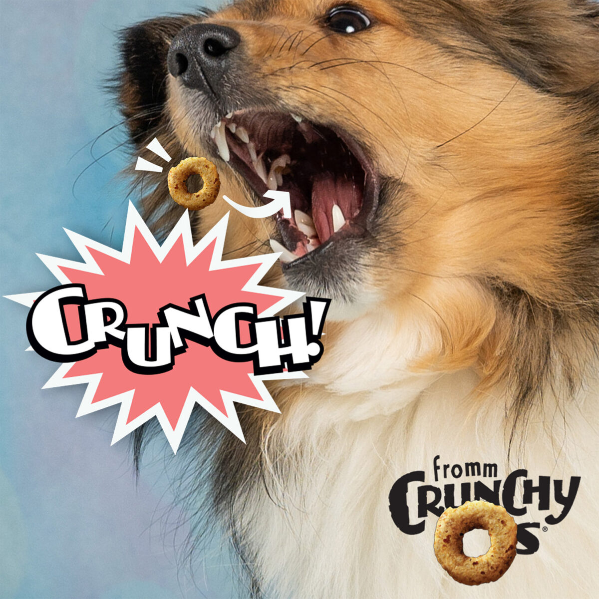 Fromm Crunchy O's CranLiver Kaboom! Flavor - Image 2